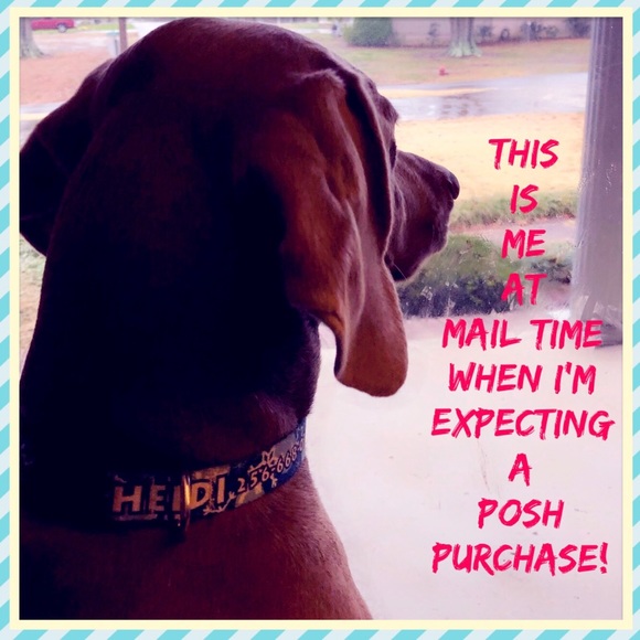 🐶Dog-friendly - 🚫Smoke-free - Picture 1 of 3